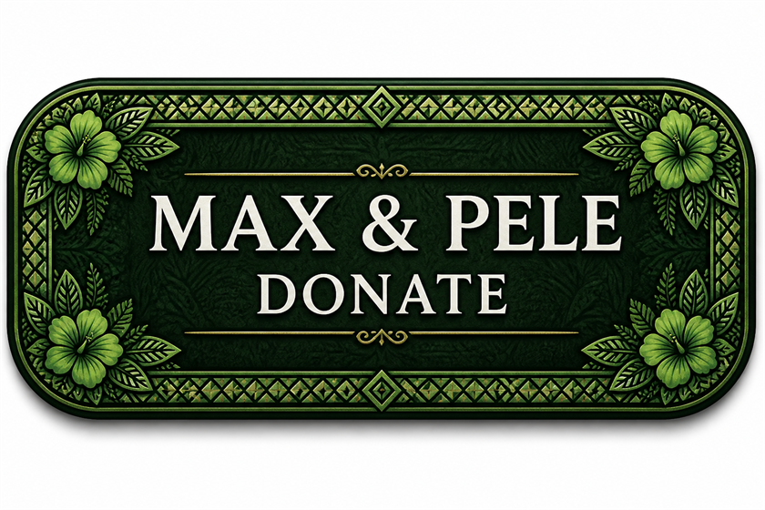 Donate to the Pele Maiava Max Aunese Memorial Scholarship